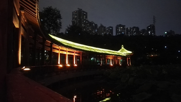 龙头寺公园夜景