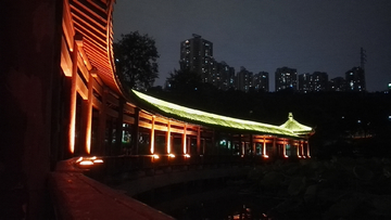 龙头寺公园夜景