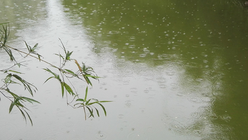 小雨