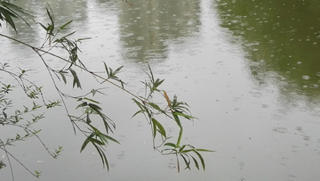 小雨点