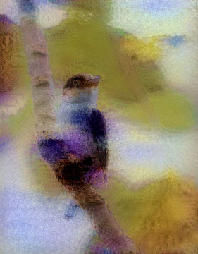 抽象花鸟画装饰画油画