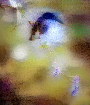 抽象花鳥(niǎo)畫(huà)裝飾畫(huà)油畫(huà)
