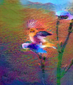 抽象花鳥畫裝飾畫油畫