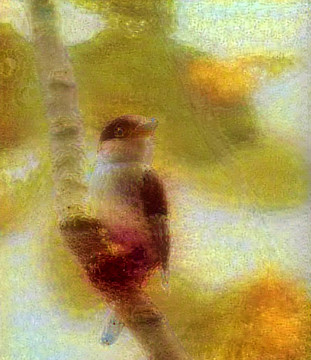 抽象花鳥畫裝飾畫油畫
