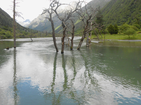 高原海子 湖泊水景 自然风光