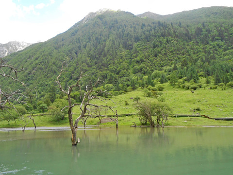 高原海子 湖泊水景 自然風光