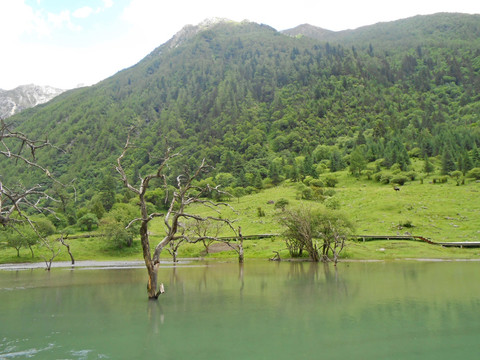 高原海子 湖泊水景 自然风光