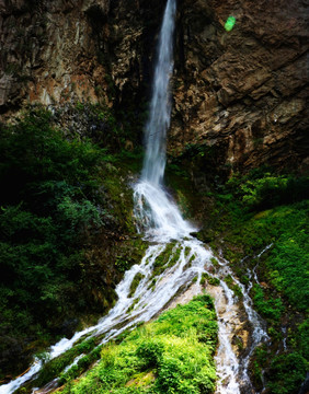 山泉水 水源