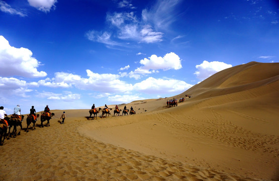 鸣沙山之蓝天和骆驼