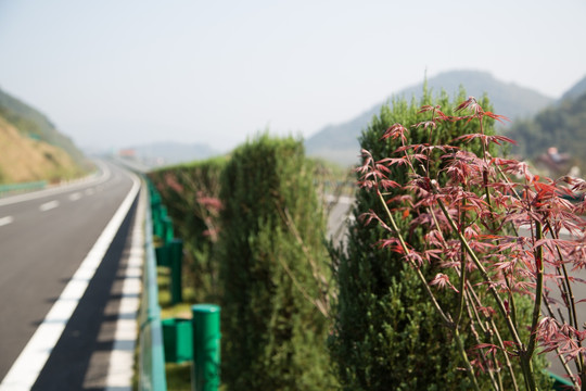 高速公路 高速 公路 交通 路