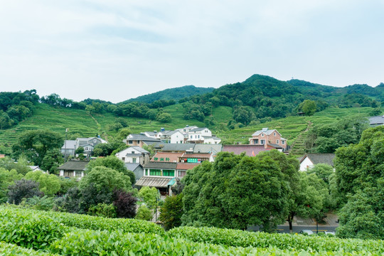 杭州西湖龙井村景区