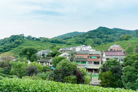 杭州西湖龙井村景区