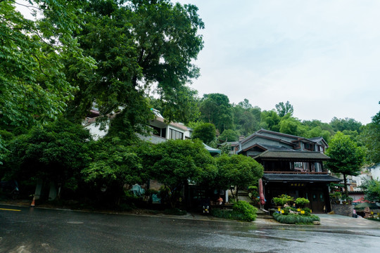 杭州西湖龙井村景区