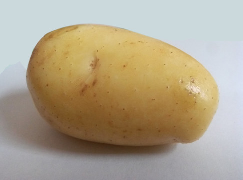 一只土豆