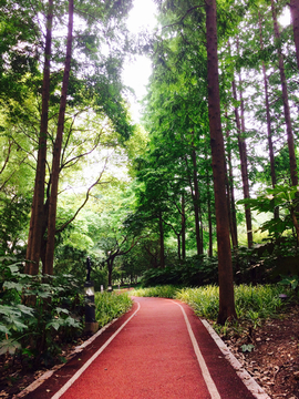 长宁区步道