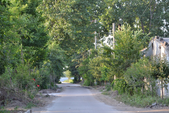 乡村道路