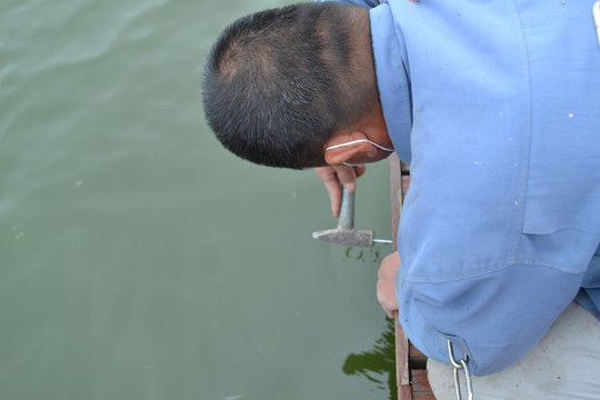 建筑師在修理木橋 人 男人