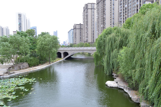 五洲湖风景内景