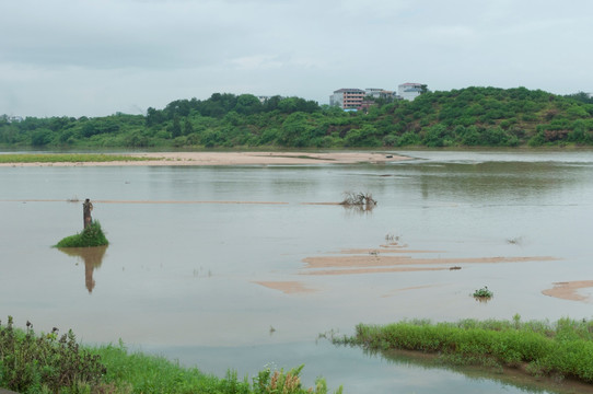 溪流风景