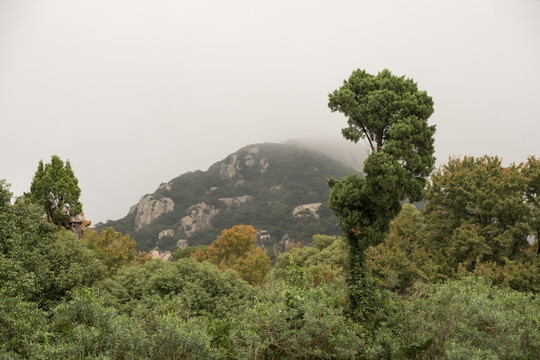 普陀山風(fēng)光