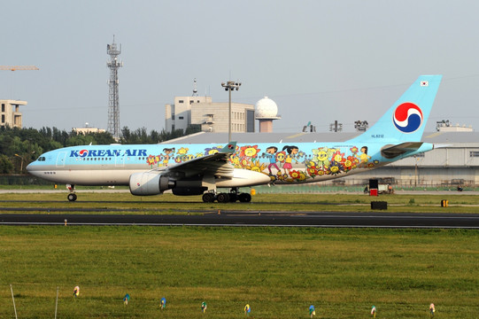 大韩航空 彩绘飞机