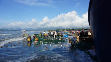 阳西 拖网 溪头镇 蓝袍湾 地