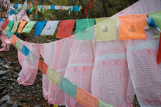 云南,德钦县,香格里拉,梅里雪山,明永冰川,