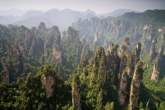 湖南,张家界,天子山,