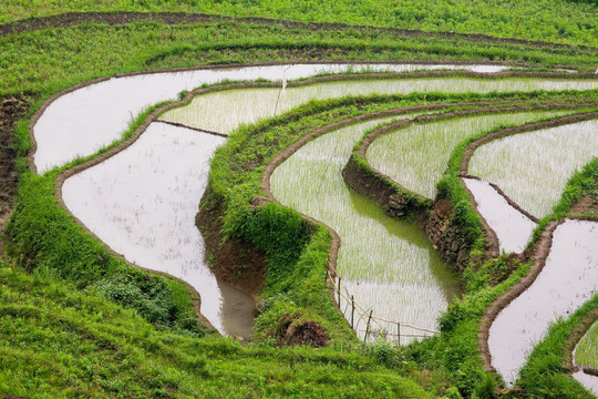 贵州,黄果树,