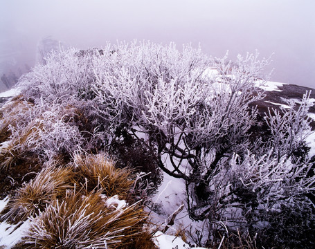 东北雪乡