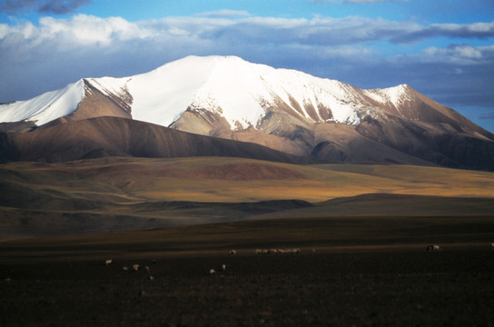 西藏,阿里