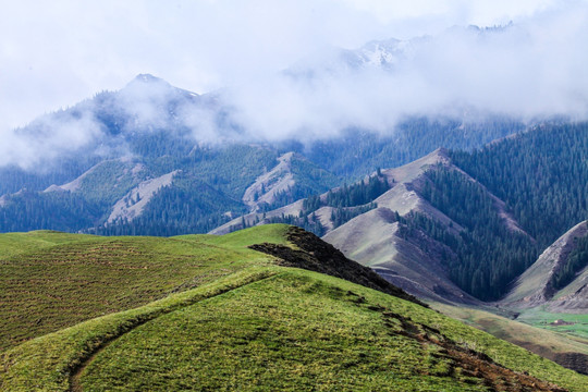 春季天山山脉