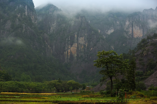 中国浙江茗岙风光