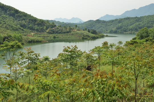 水库 风景 田园风光