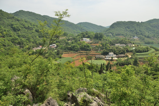 水库 风景 田园风光