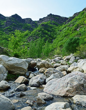 小河流水风景图片