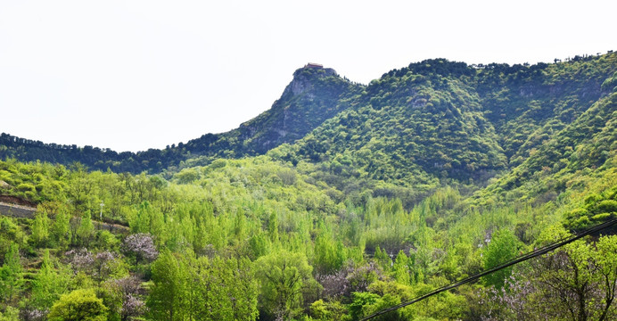 绿色的山岭风景图