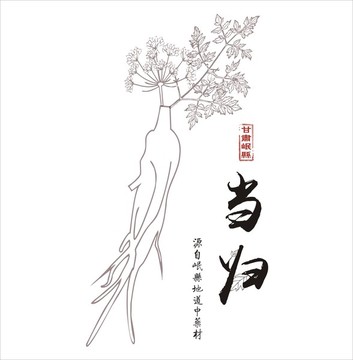 當歸矢量圖