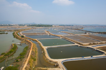 海水养殖 养殖基地