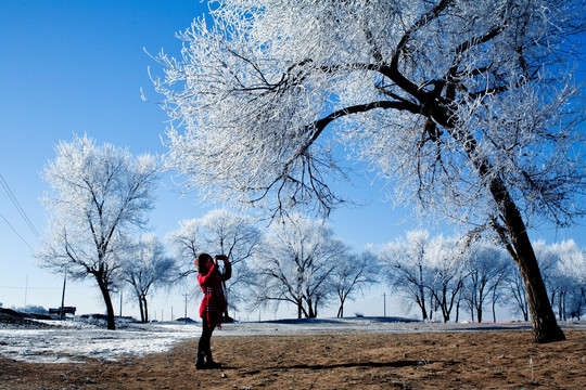 雾凇雪景