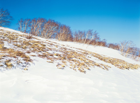 长白山雪景