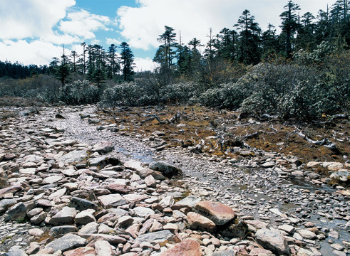 云南香格里拉千湖山