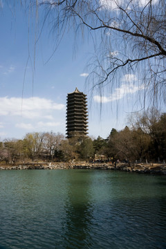 北京大学