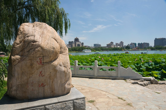 北京蓮花池公園風光