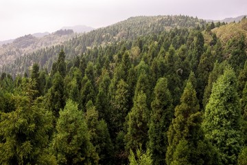 高山