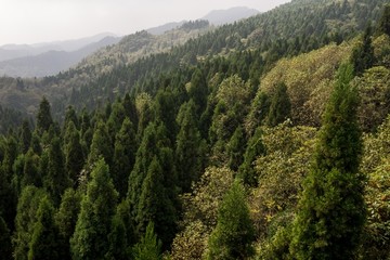 高山