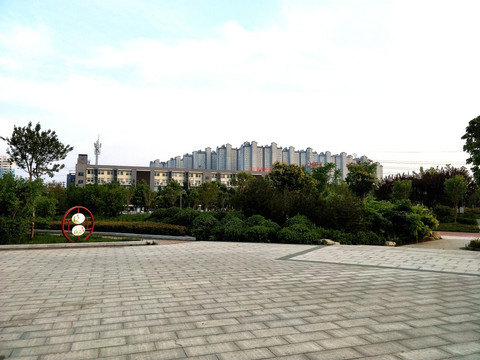 公园风景