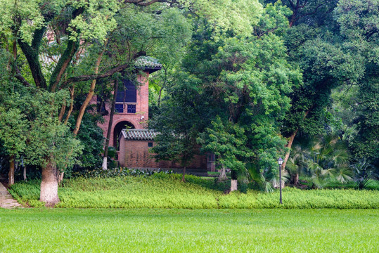 广州中山大学校园