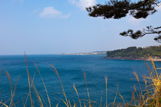 韩国济州岛独立岩