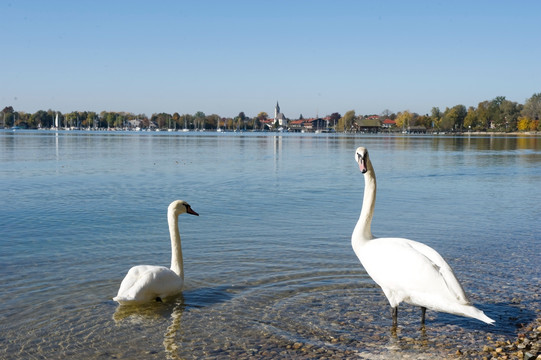 德国慕尼黑周边基姆湖（Chiemsee）